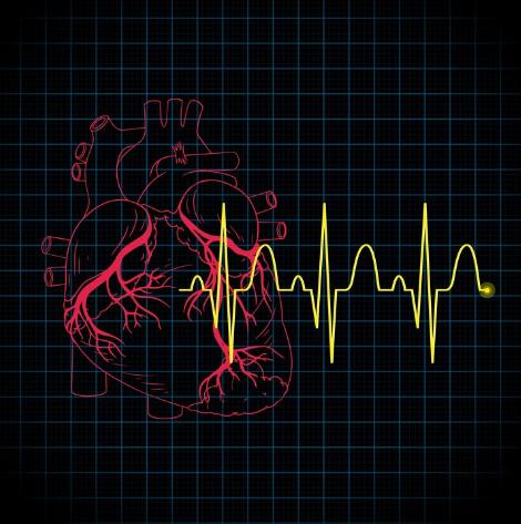 Illustrated heartbeat with ECG rhythm graph representing heart monitoring used in NREMT ECG questions